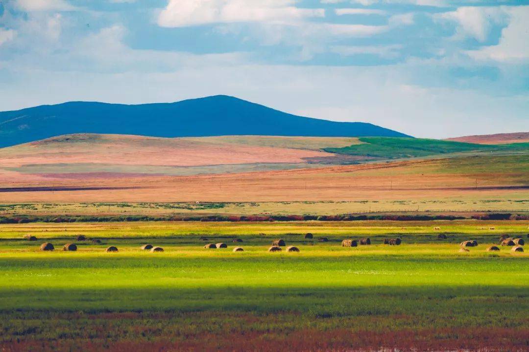 内蒙古,外交部发言人眼中的绿色发展明珠